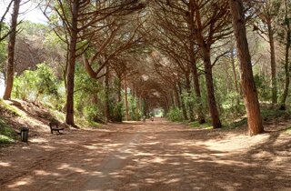 20251113_094935.jpeg 20251113_094935.jpeg